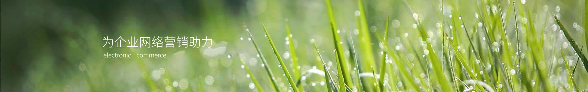Ļ޹˾